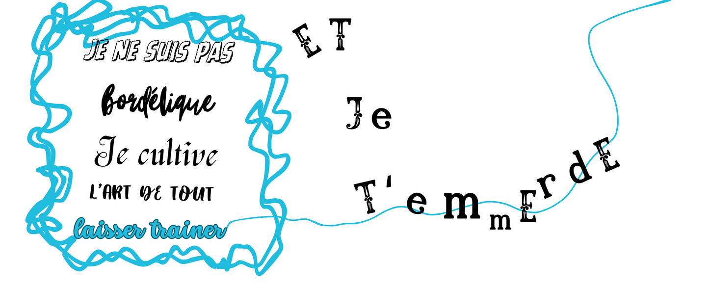 Je ne suis pas bordélique ..... TOME1