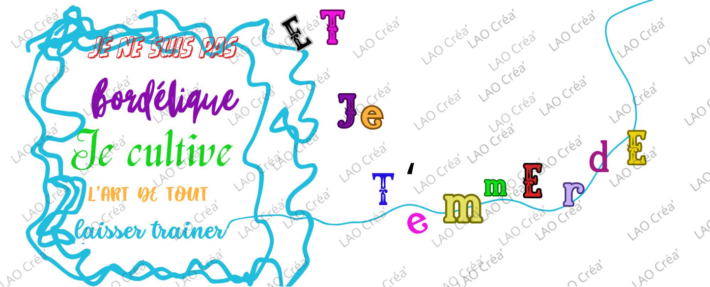 Je ne suis pas bordélique ..... TOME2