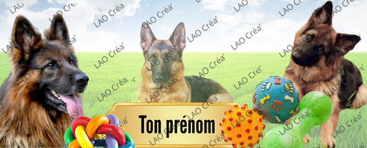 Berger Allemand