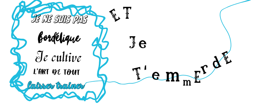 Je ne suis pas bordélique ..... TOME1