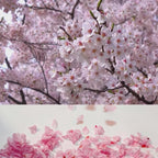 Mon / Mes animaux sur mug