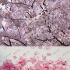 J'adore ce pays ! FORCA PORTUGAL